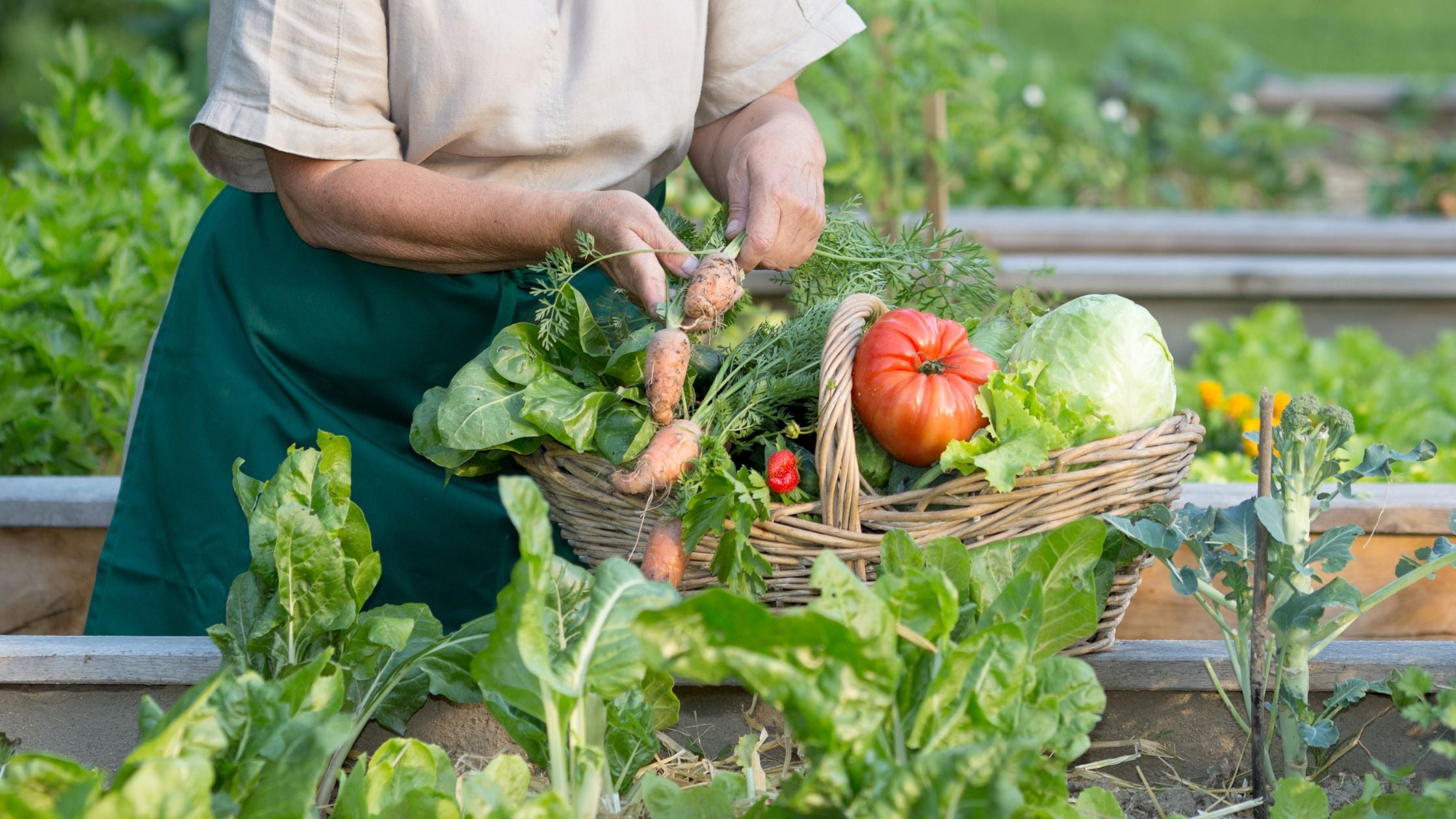 Health and wellbeing benefits of growing your own food
