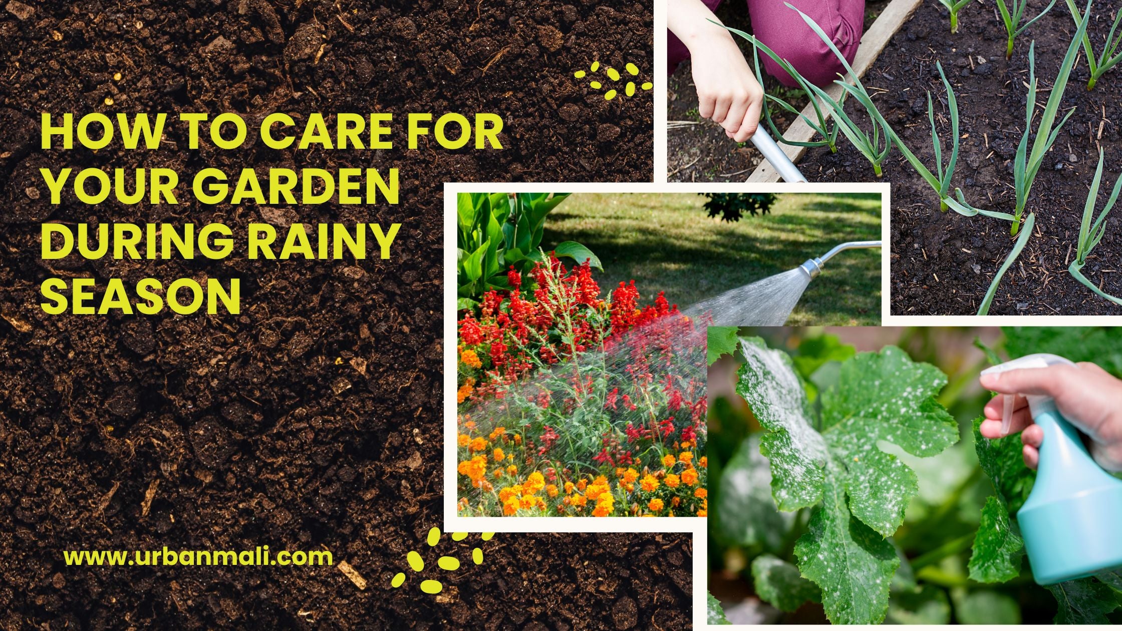 Gardening Tips During The Rainy Days – The Urban Gardening Shop