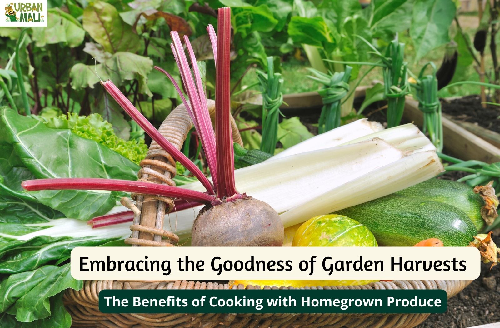 Embracing the Home Garden: Cultivating a Bounty of Benefits