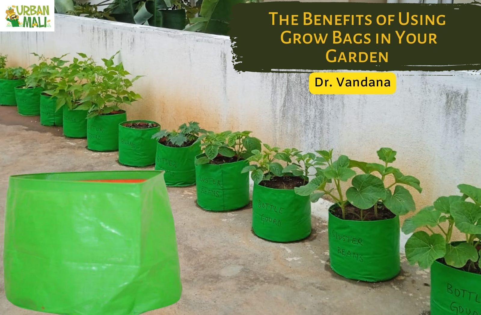 Grow Bags vs. Plastic Pots - Benefits of Garden Bags