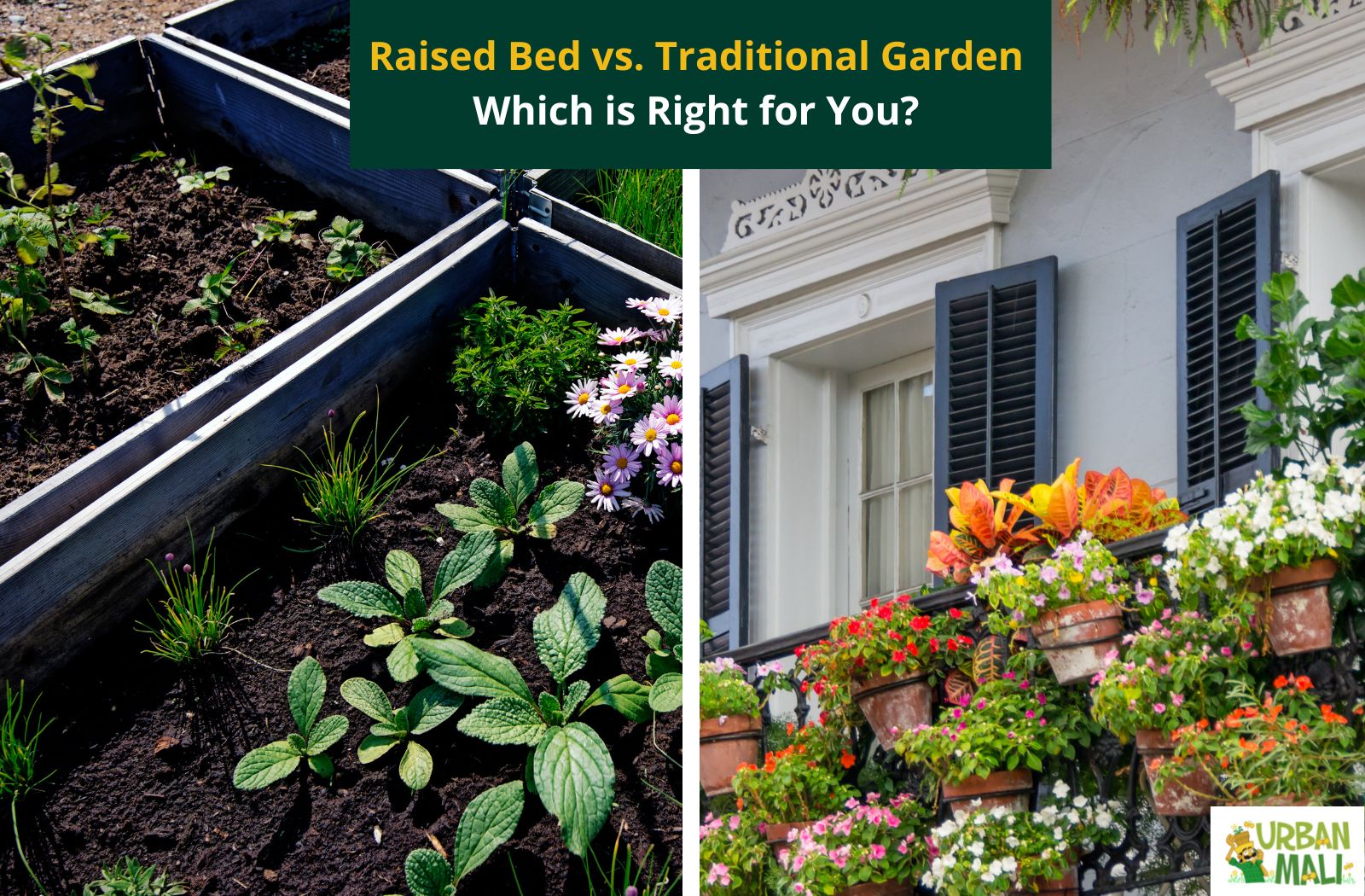 3 Reasons Raised Beds Are Better for Gardening • Gardenary