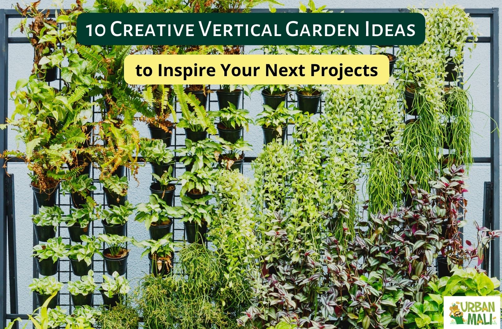 Garden Crafts For Seniors To Spark Creativity