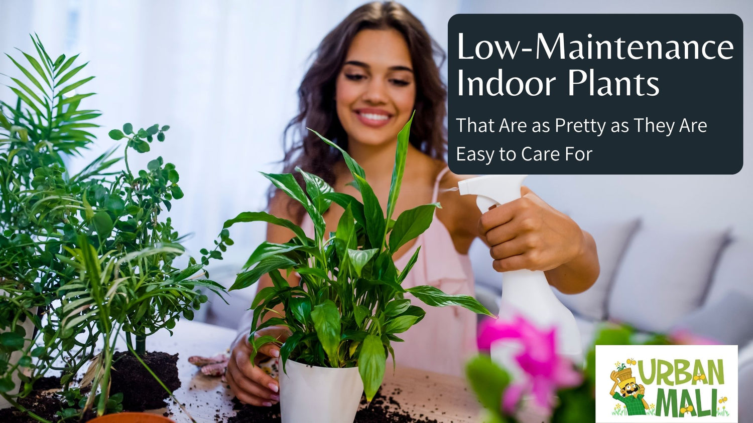 Low-Maintenance Indoor Plants That Are As Pretty As They Are Easy To ...